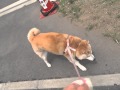 春の予防接種