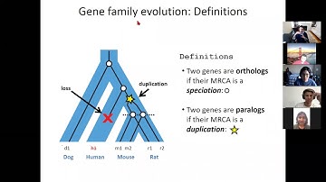6.047/6.878 Lecture 20 - Phylogenomics (Fall 2020)