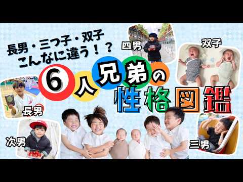 【6人兄弟】個性溢れる性格の違いをご紹介✨あなたは誰に共感する？