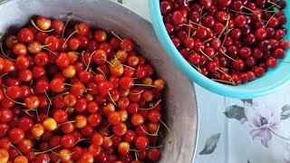 компот из черешни # заготовки на зиму#легкоипросто