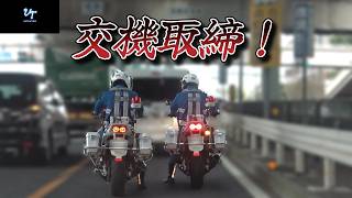 【交機取締】40㌔制限道路、スピード超過「マークX」検挙される!