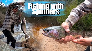 Fishing with SPINNERS | trout and Redfin perch