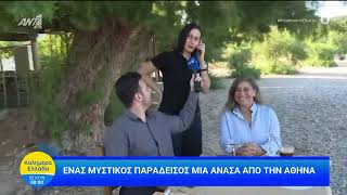 Καλημέρα Ελλάδα Αντ1 - Σαλαμίνα: Ένας μυστικός παράδεισος μια ανάσα από την Αθήνα. screenshot 4