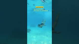 Lakshadweep kab ja rahe ho? Batao ❤️@NarendraModi 👌#ytshorts #shorts #lakshadweep