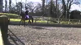03.03.13 Reaseheath Dressage