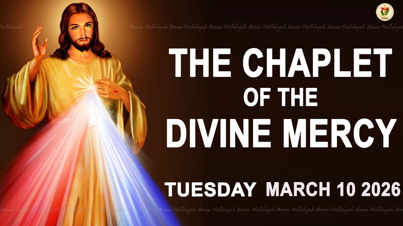Chaplet Of The Divine Mercy I Tuesday March 10 2026 I Daily Divine Mercy Prayer