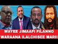 Filanno Amma Kana Irratti Maltu Taha Jira May 31 2026 