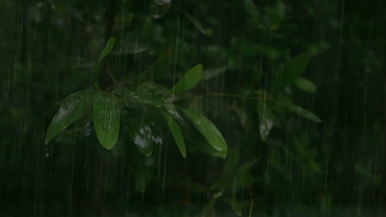 Goodbye Strain to Fall Asleep Quickly with Heavy Rainstorm & Seething Thunder on a Tin Roof at Night