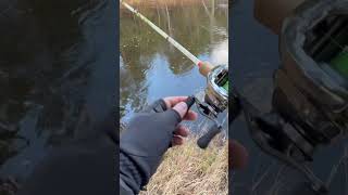 Щука на форелевой реке. Полное видео на канале☝🏼 #fishing4seasons #youtubeshorts #shortvideo #reels