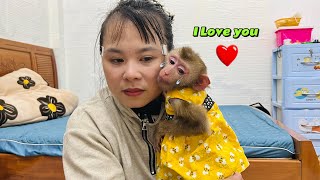 Diana Monkeys Strange Behavior Upon Reuniting With Her Mother.