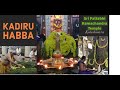 Kadiru Habba  |  Sri  Pattabhi Ramachandra Temple Koteshwar  | Navve 2019 | Hostu |