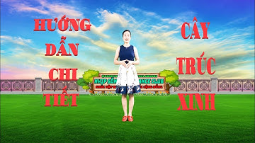 HƯỚNG DẪN CHI TIẾT/ CÂY TRÚC XINH- CỰC DỄ HIỂU AI CŨNG HỌC ĐƯỢC