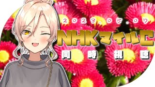 【競馬同時視聴】2023年NHKマイルカップ同時視聴【ニュイ・ソシエール/にじさんじ】