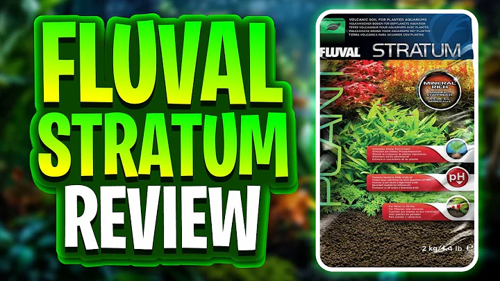 Fluval Stratum Review: My Results After a Year of Use In Six Planted Tanks! (Best Budget Aquasoil)