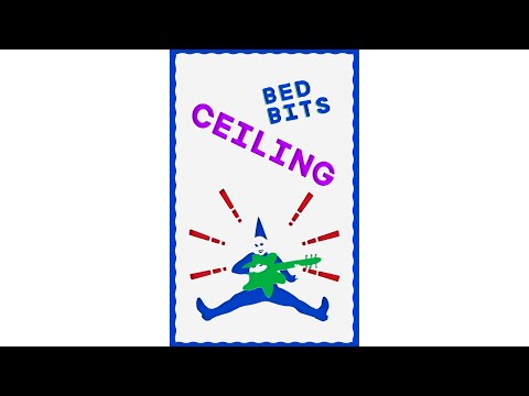 Bed Bits - Ceiling