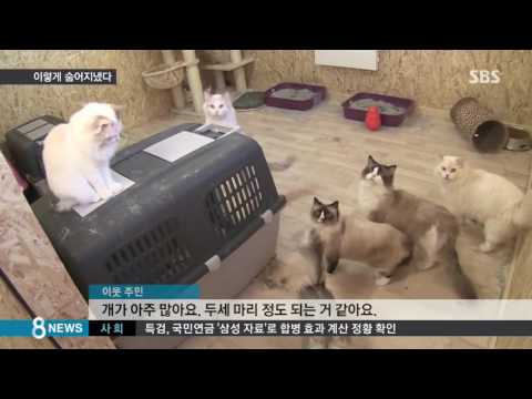 긴박한 도피생활에도…정유라의 유별난 동물 사랑 / SBS
