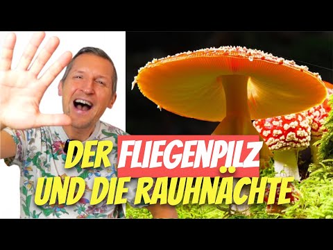 Der Fliegenpilz und die Rauhnächte 🍄❄️ (kurz)