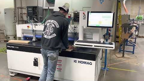 HOMAG DRILLTEQ D-200 Dowel Inserter 2