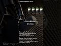 【Wellerman】増えながら歌ってみた A Capella