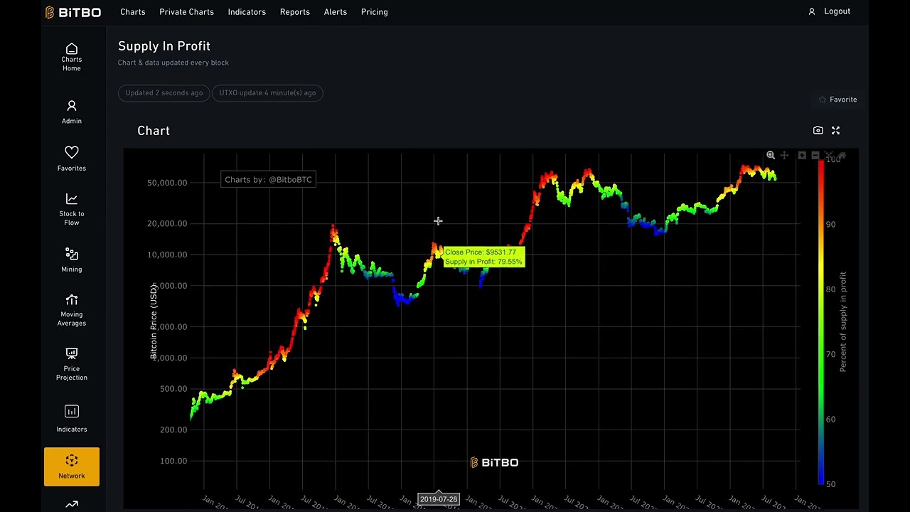 Bitcoin Supply in Profit Chart Explained