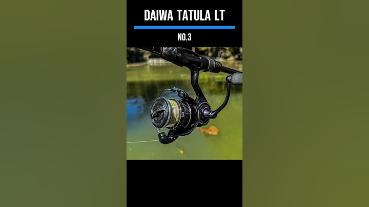 Top 5 BEST Spinning Reels In 2025!