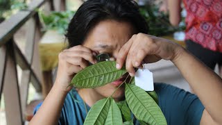 Advanced Field Studies In Functional Ecology