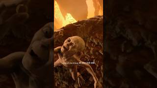 Lord Of The Rings Ko Dekhne Ka Correct Sequence Kya Hai? 🤔🤔