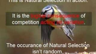 The occurence of evolution is NOT random.