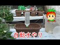 家庭菜園の水やり世界一安い道具を見つけたよ
