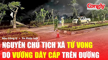 Vướng vào dây cáp vắt ngang đường, nguyên chủ tịch xã ở Nghệ An gặp nạn tử vong | Báo Công lý
