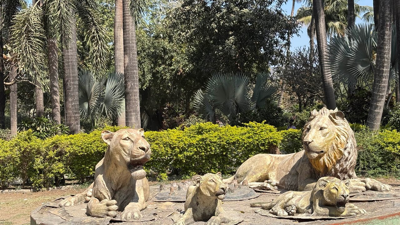 જુનાગઢ સક્કરબાગ 🦁