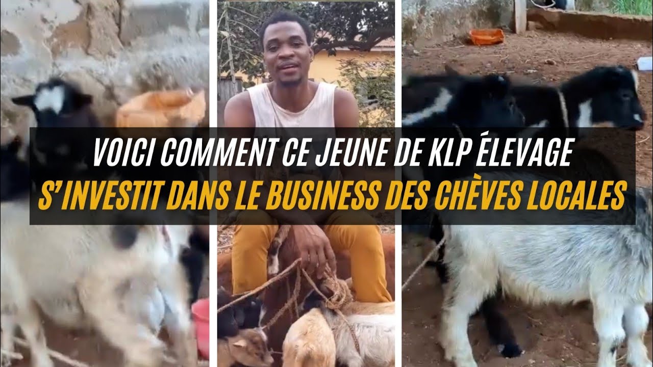 8 chevres pour 100.000fcfa, voici comment ce Mr promote l'elevage des chevres locales
