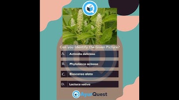 Image Identification MCQs AIAPGET - AyurQuest