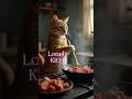 Lonely Kitty #lovelykitty #cutecat #catcooking #catlover #cateating #catcleaning