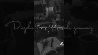 Men Bu Ömrü Ele Bele Yaşadim