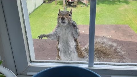 Brighten things up in the PhotoLink Library