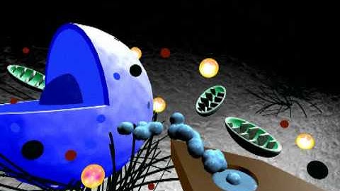 Device Operation: Cell Manipulation: Chapter 2: Micro-injection