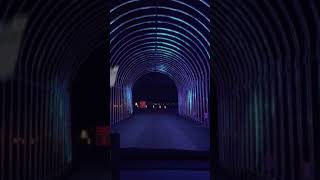 Goebberts PumpKin Patch Christmas Epic Light Show Drive Thru Pinetree Grove, IL 2020