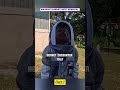 MASSIVE HORNET NEST REMOVAL (DIDN'T GO AS PLANNED) #DIYPestControl #PestControl #HomeProtection