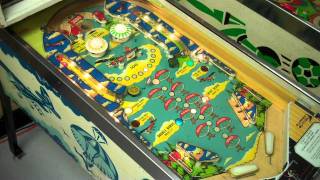 1974 Bally Sky Kings pinball machine