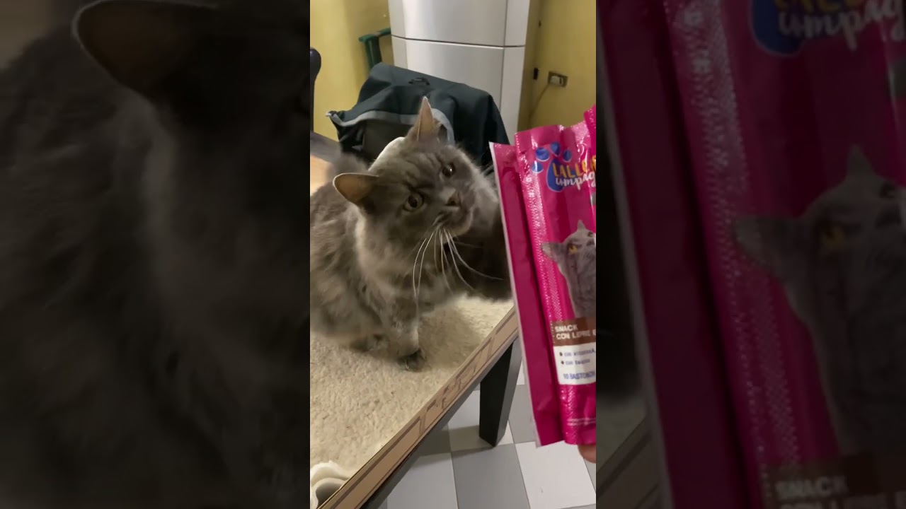 Chi vuole i bastoncini ? 