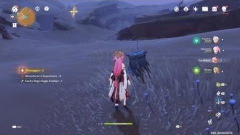 Genshin Impact - Dodge the Wenut Attacks time challenge