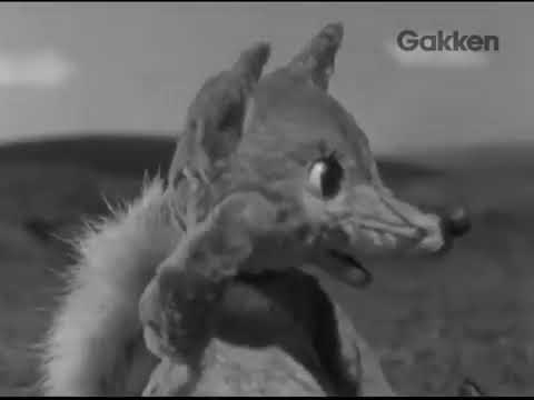 Inemuri Buu-Chan [ 1959 ]