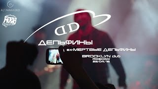 Дельфины (ex - Мертвые Дельфины) концерт Brooklyn 23/04/16 Moscow Дельфины (ex - Мертвые Дельфины) концерт Brooklyn 23/04/16 Moscow