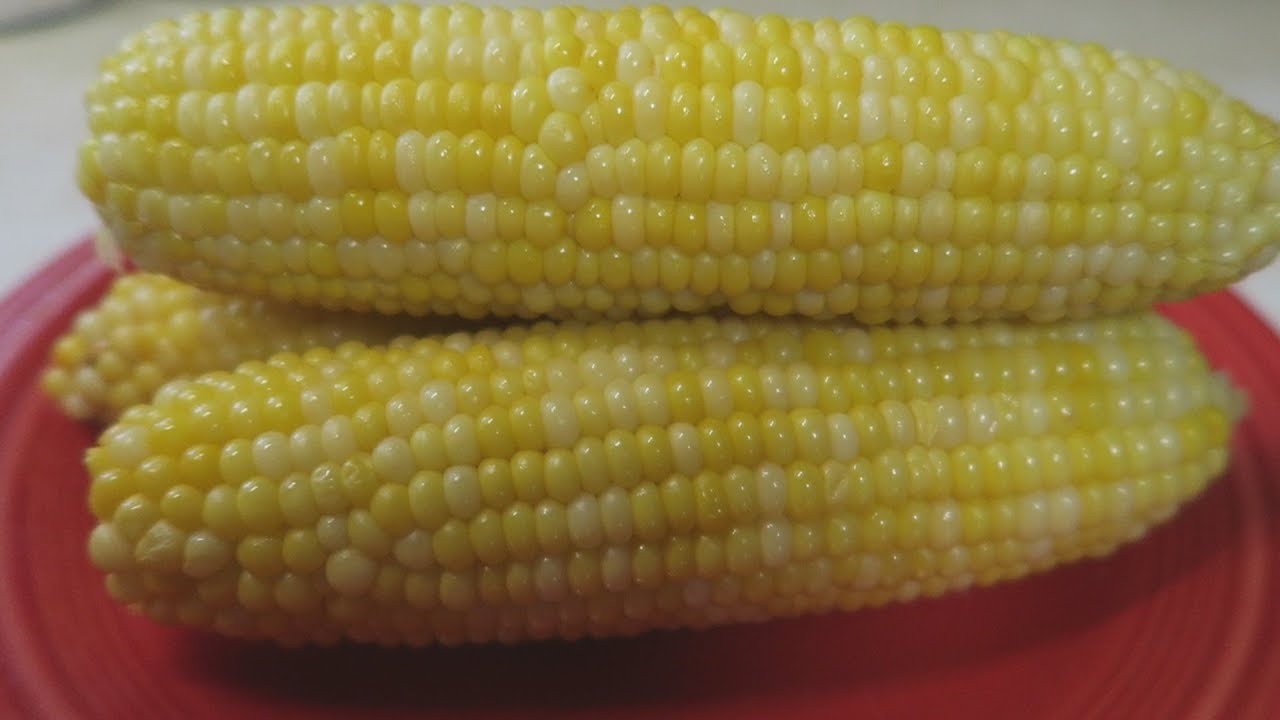 How To Cook Corn On The Cob | Episode 238 - YouTube