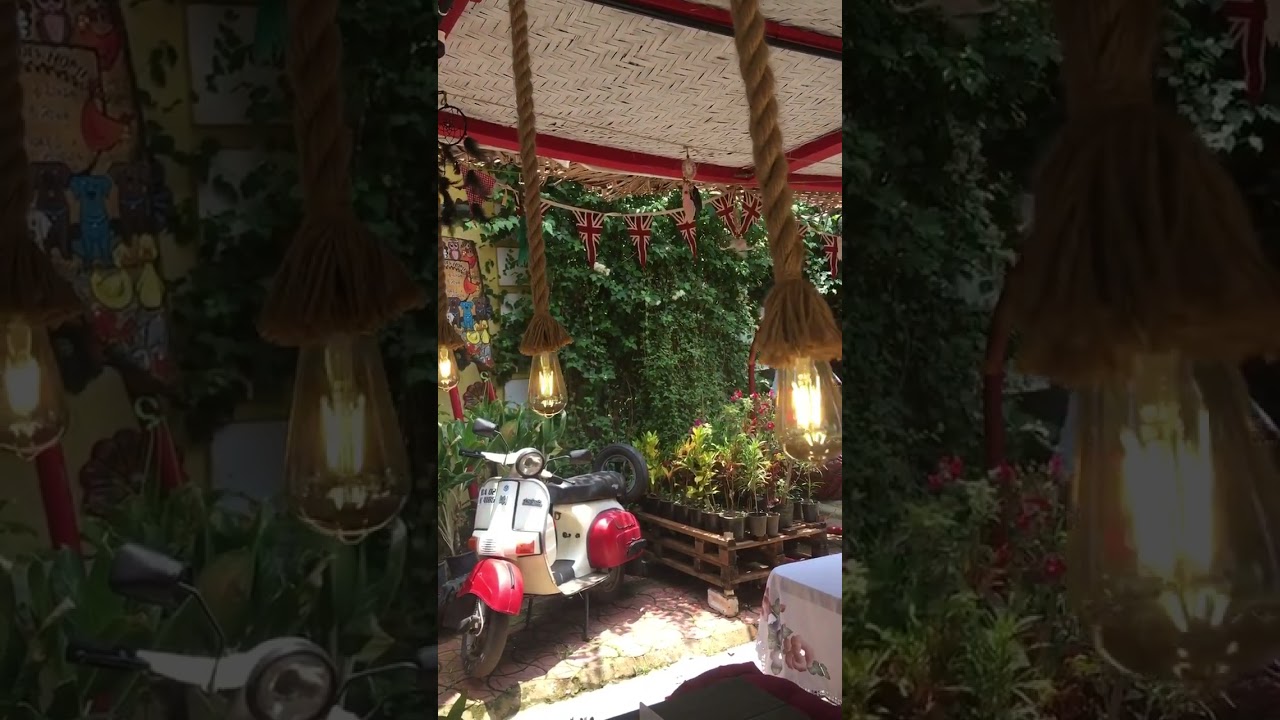 ✨Garden Cafe -  Chandor