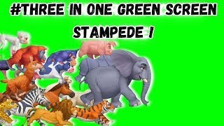 THE STAMPEDE GREEN SCREEN ! #greenscreen @VfxKarki_ @vfxhd @vfxnaveed @GSA @GreenScreenBrasil