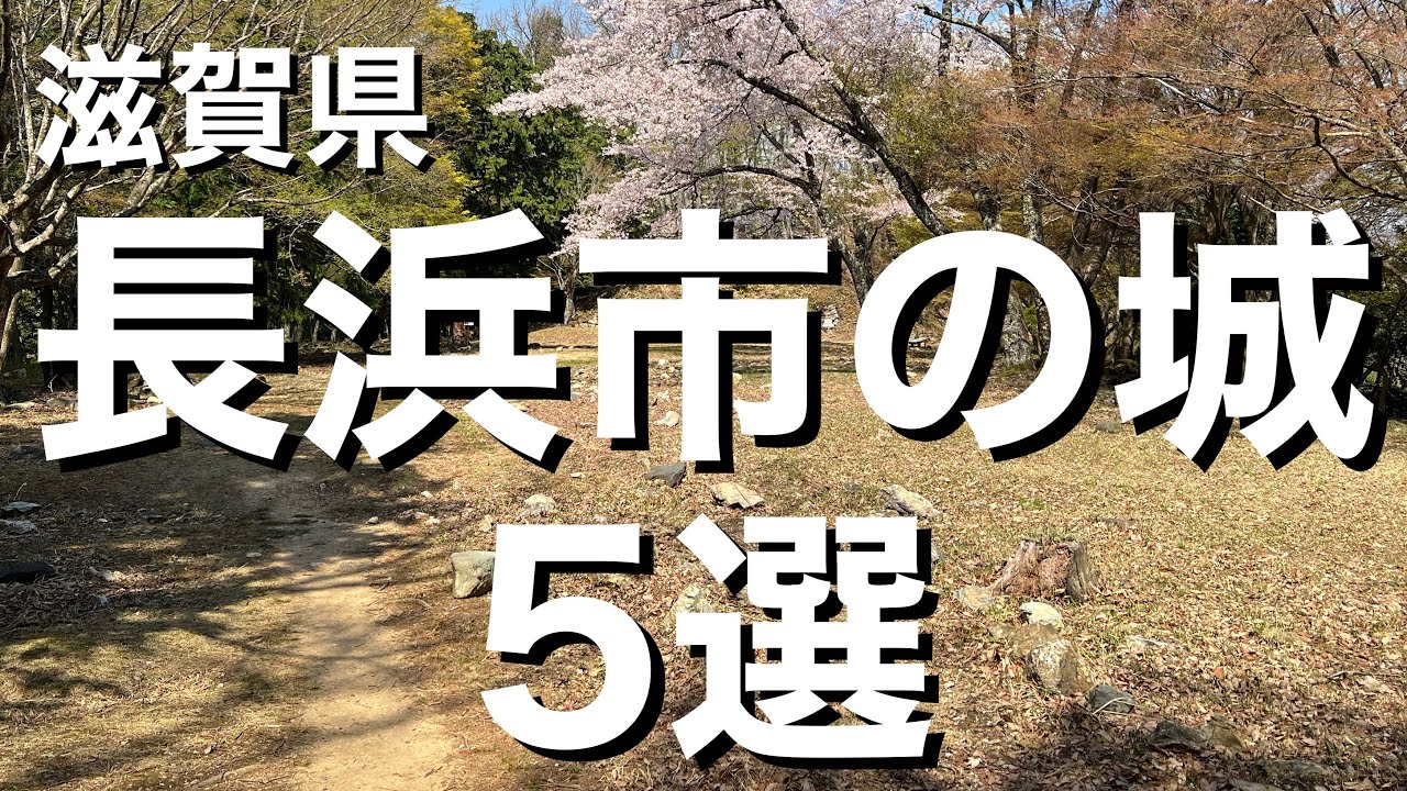 【城選＋】［滋賀県 長浜市の城］〜5選〜
