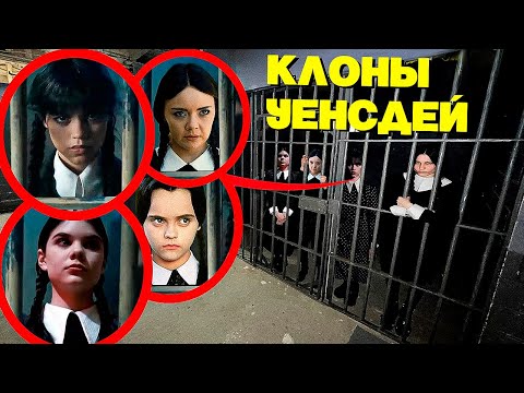 Видео: Как стать рисовальщиком nz?