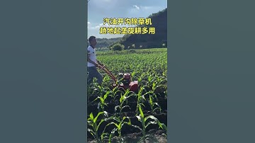 Mini Tiller Machine in Action | Powerful Farming Tool for Easy Soil Preparation part 993